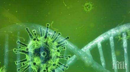 тревожни данни всеки пети covid ментални проблеми месеца заболяването