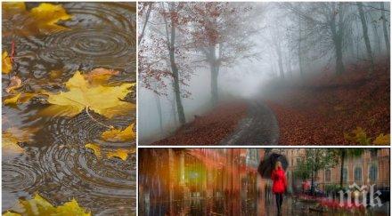 студът настъпва облачно мъгливо време почти цялата страна вали карта