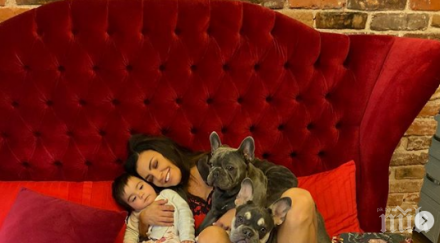 деси цонева сдоби ново кученце