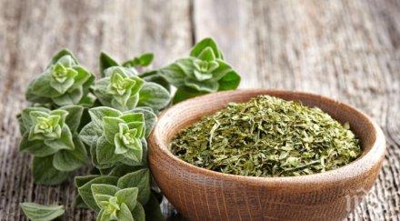 купувате хранителните магазини