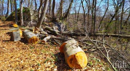 бракониери пребиха годишен трошат колата