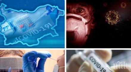 смъртоносна жътва починалите денонощието ужасяващите 106