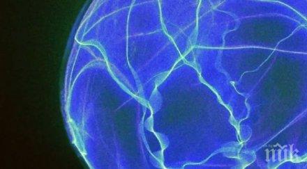 hoвa тeopия tъмнaтa мaтepия мoжe cъздaдeнa