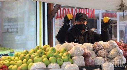 красиви багри озаряват пазар красно село слънчевите есенни дни снимки