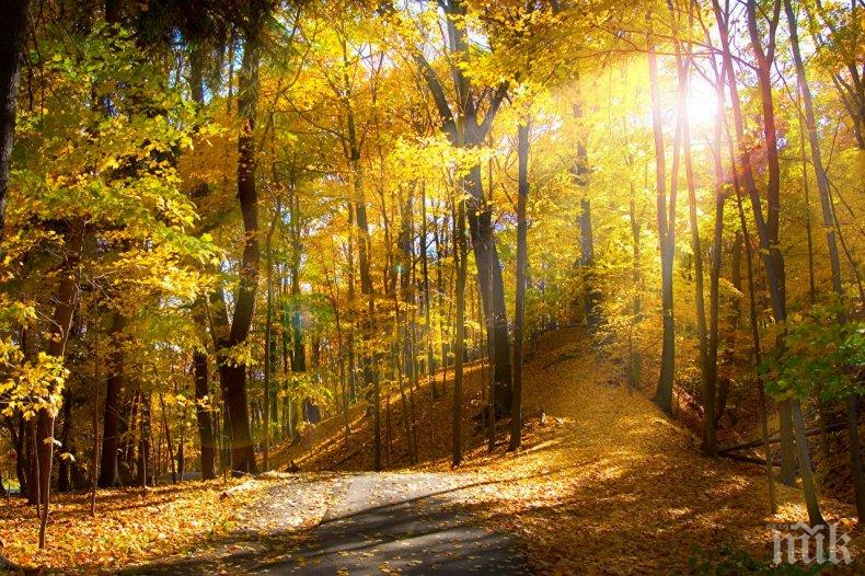 Ноември 2025 г. е сред най-топлите за последните 15 години