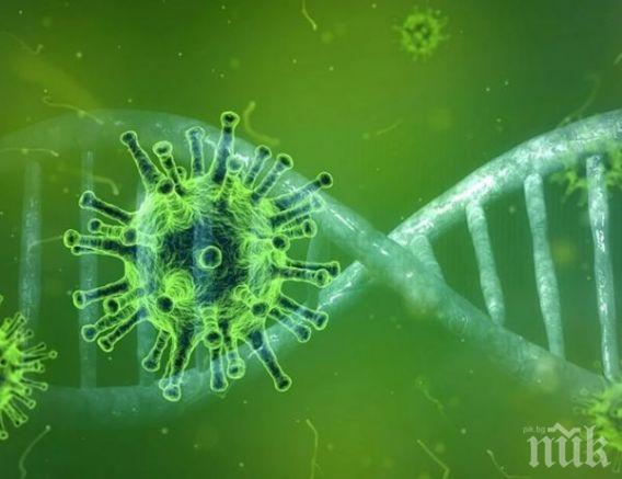 ТРЕВОЖНИ ДАННИ: Всеки пети с COVID-19 има ментални проблеми 3 месеца след заболяването