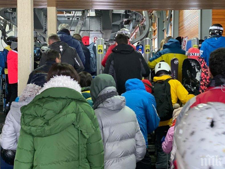 Екскурзовод: Туристи няма