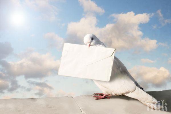 УНИКАЛНО: Влюбени откриха военно съобщение, изпратено преди век с пощенски гълъб