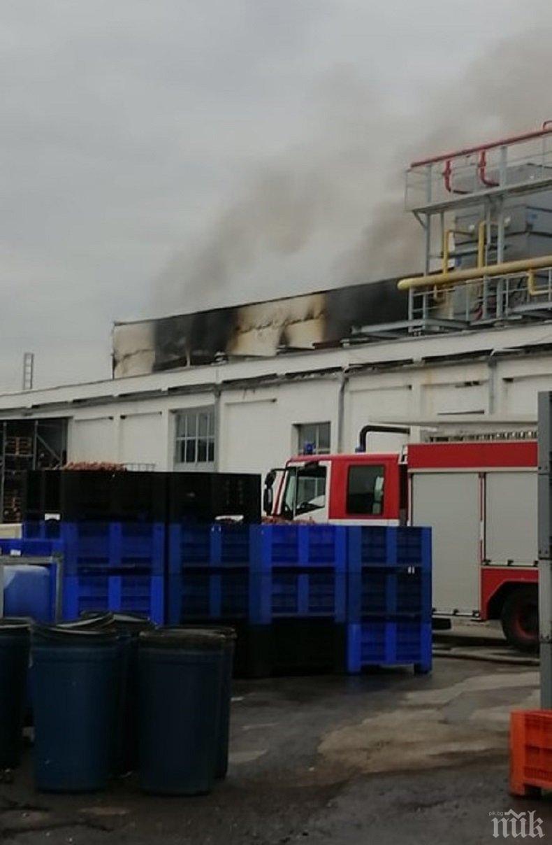 Прокуратурата подхвана пожара в Катуница