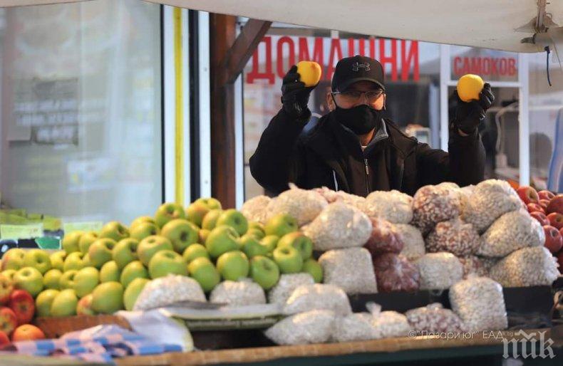 Красиви багри озаряват пазар Красно село през слънчевите есенни дни (СНИМКИ)
