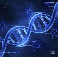 Учени с огромен пробив: Създадоха свръхпроводим наноматериал на базата на ДНК 