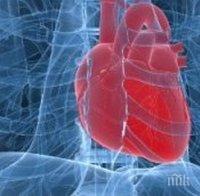 Руски експерти с аларма за сърцето след боледуване от коронавирус - Covid-19 удря трайно сърдечно-съдовата система
