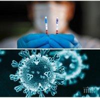 СЗО регистрира рекорден брой нови случаи на COVID-19 за денонощие