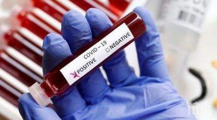 новите случаи covid враца късметлии успяха преборят заразата