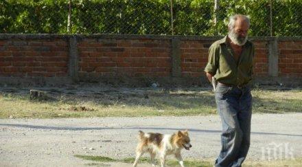 200 глоба собствениците нерегистрирани кучета бяла слатина