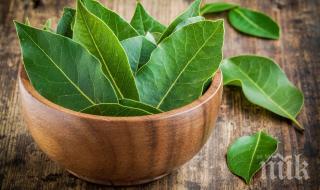 популярна подправка гони хроничната умора