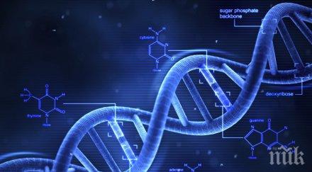 учени огромен пробив създадоха свръхпроводим наноматериал базата днк