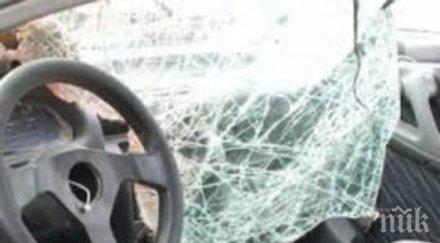 бивол пътя преобърна голф таван разби мерцедес