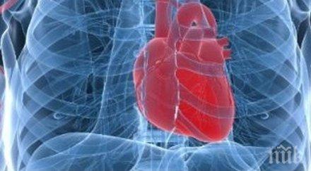 руски кардиолог оздравяване covid внимателно следи работата сърцето