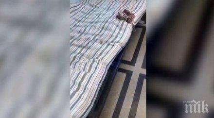 потресаващо болница настанява covid пациенти шокиращи условия