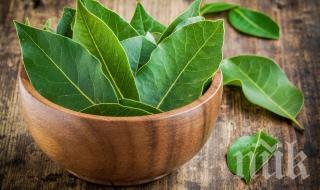 Популярна подправка гони хроничната умора