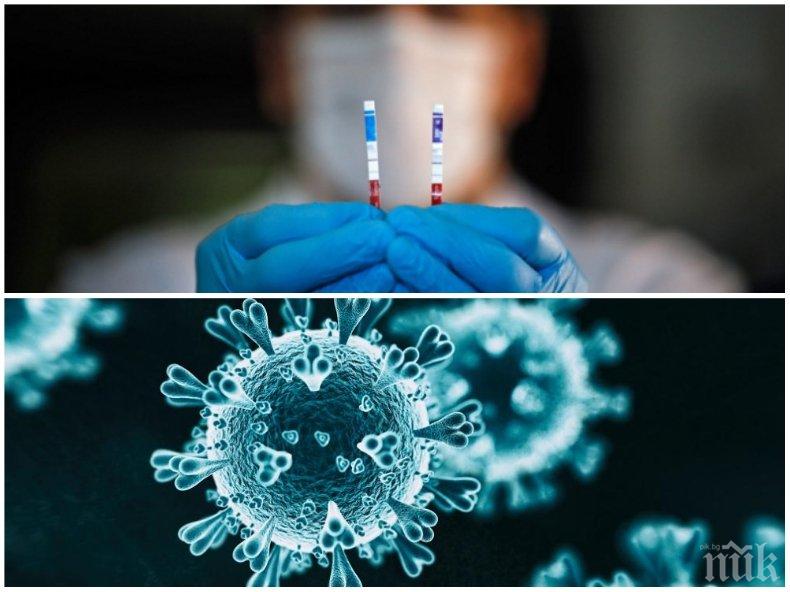 СЗО регистрира рекорден брой нови случаи на COVID-19 за денонощие