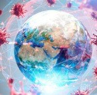 СЗО: Над 536 000 новозаразени с коронавируса за денонощие по света