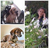  НАЙ-ТРОГАТЕЛНАТА ИСТОРИЯ: Нешка Робева спаси от гладна смърт 16 кучета в Трудовец - славната треньорка търси дом за 14 палета и техните майки