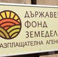Държавен фонд „Земеделие“ преведе близо 3,2 млн. лева на дребните земеделски стопани за Кампания 2020