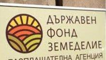 Фонд "Земеделие" обяви на кого ще опрощава стари дългове