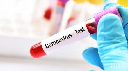 жертвите коронавируса сащ вече 250 000