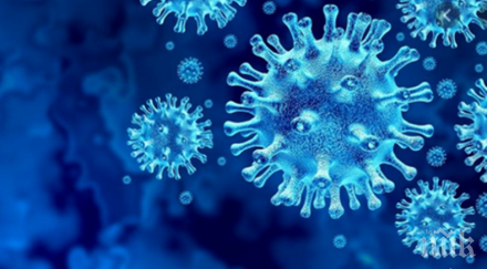 коронавирус плъзна берое димитър димитров херо сред заразените