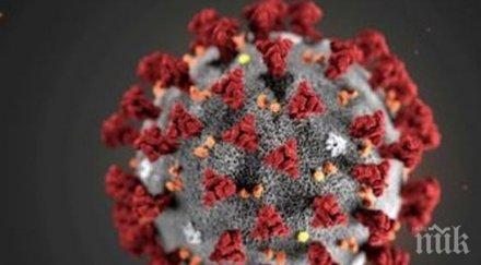 сензационно учени откриха убиеца covid