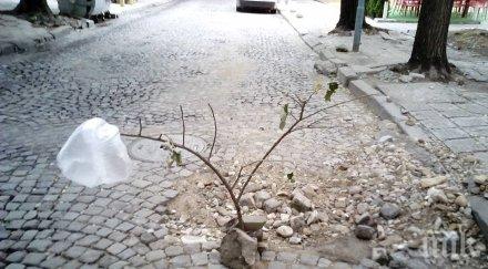 жалби конкуренти отлагат чакан години ремонт пловдив