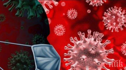 заради коронавируса ограничения влязоха сила австрия сърбия