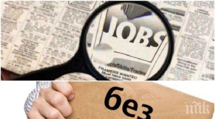 снимка обяви работа разбуни фейсбук търсят учител 1000 лева бруто багерист бона чисто