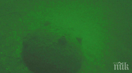 българските военноморски сили унищожиха мини втората световна война