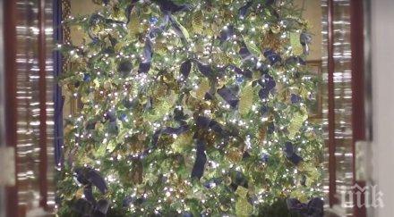 поставят коледната украса шумен