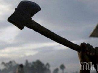 зловеща драма годишен селянин съсече дядо брадва