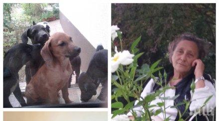 трогателната история нешка робева спаси гладна смърт кучета трудовец славната треньорка търси дом палета техните майки