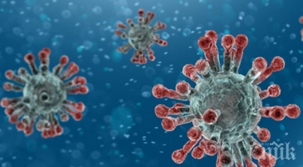 двама цска коронавирус