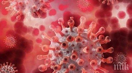 215 новозаразени коронавируса денонощие турция