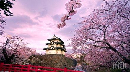 класация определи добрият град живеене света