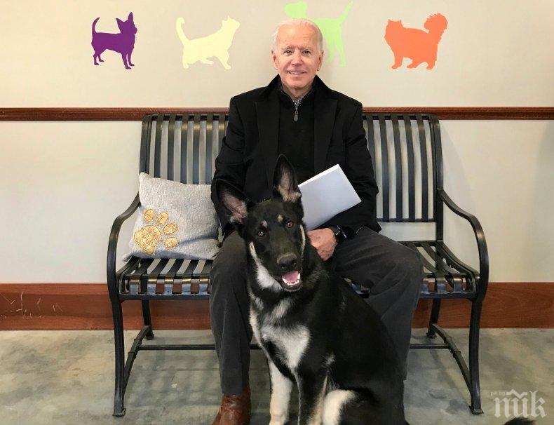 От Министерството на здравеопазването на САЩ отказват да работят с Джо Байдън

 