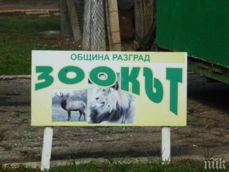 Зоокътът в Разград получи лиценз за следващите 5 години