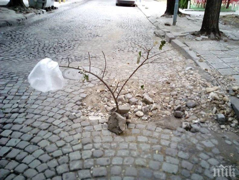 Жалби от конкуренти отлагат чакан от 37 години ремонт в Пловдив 