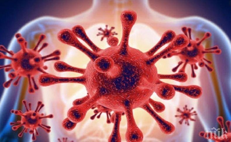 Заразените с коронавируса по света са над 56 млн.