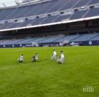 Пингвини се разходиха из стадион в Чикаго