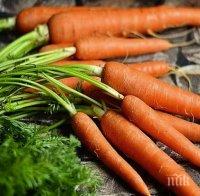 Морковената диета ще ви помогне да свалите 10 кг за една седмица