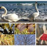 ЗАТОПЛЯНЕ: Дневните температури ще напомнят за пролет, ще духа, но слабо